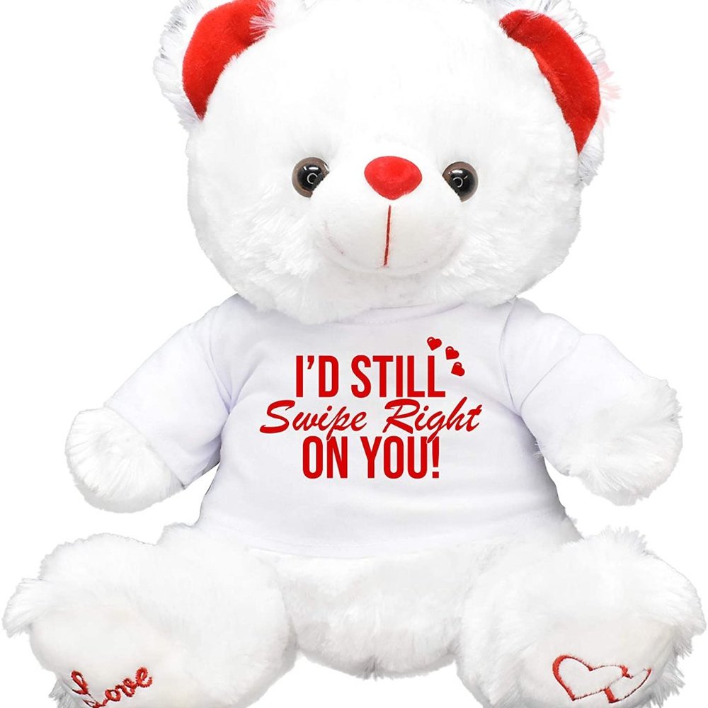 Swipe Right Valentines Gift Teddy Bear Girl Friend